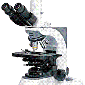 N-800M实验室生物显微镜